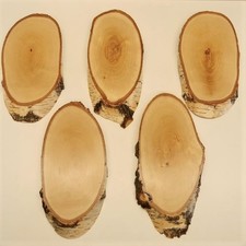 5 Pièces Panneaux En Bouleau Panneaux De Trophée Grand Cerf Avec Bois De Tronc