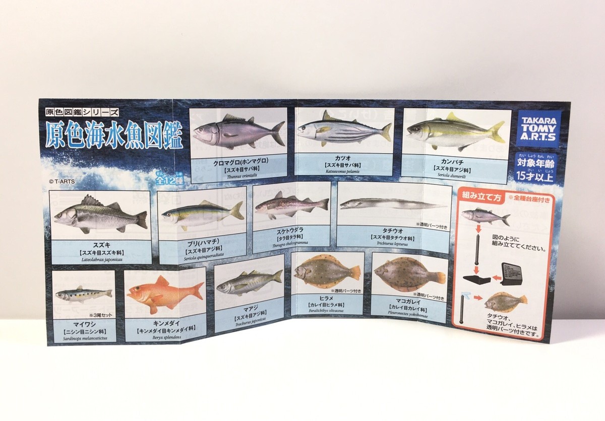 Takara Tomy A.R.T.S Japan Exclusive Saltwater Marbled Flounder Sea
