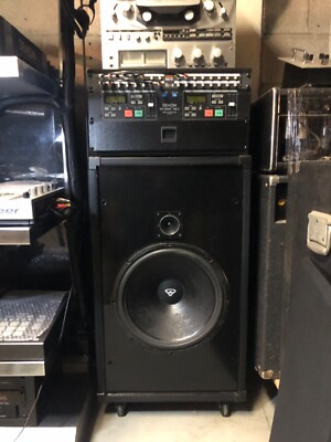 Cerwin Vega U-15 Speakers. Extremely Rare! Re-foamed & New Grill