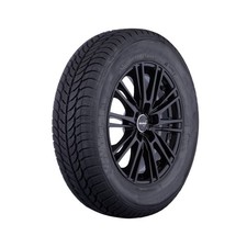 4x Alu Ganzjahresreifen Kompletträder für VW Passat Reifen 205/50R17 Nexen