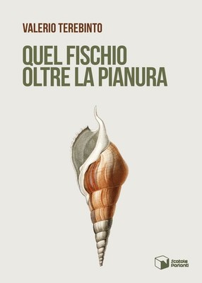 Buch - Terebinto Valerio - Diese Pfeife jenseits der Ebene - sprechende Boxen