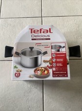 Tefal Delicious - Stainless Steel Stew Pot With Lid 24cm Side Handles All Hobs