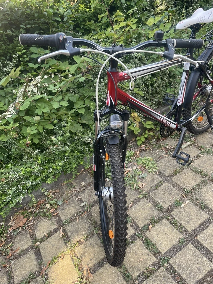 Kreidler Mustang 1.0 26" MTB/Trekkingrad mit Gepäckträger - Bild 2 von 4