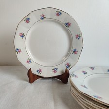 Assiettes Plates Décor Fleuri Porcelaine Opaque Digoin Sarreguemines