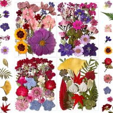 85Pcs Dried Pressed Flowers for Resin Molds, Real Natural Bulk Dry Floral Lea...