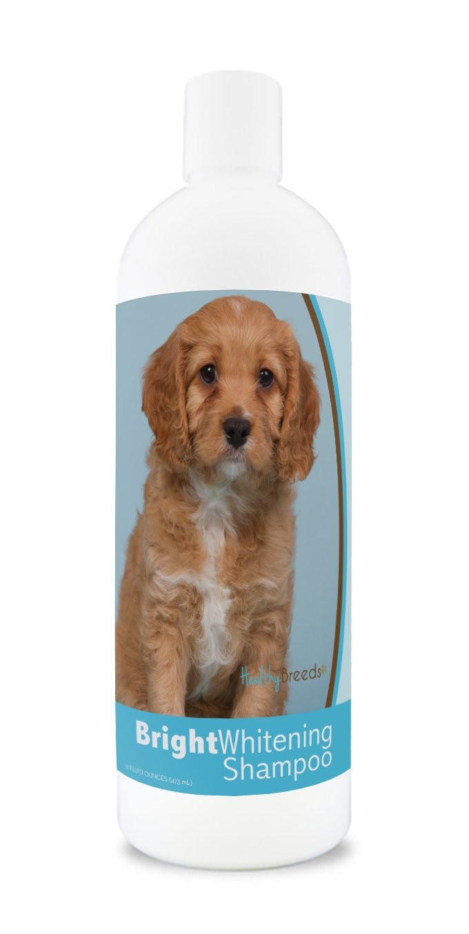 Healthy Breeds Cavapoo Bright Whitening Shampoo Conditioner 12 oz Tearless Fo...