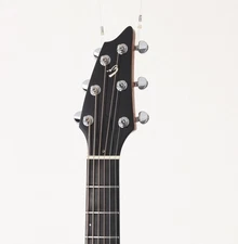 Breedlove Sd25 Safe delivery from Japan