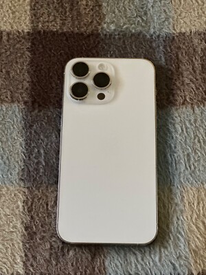 iPhone 14 Pro Max Silver 256 GB With TikTok Installed (Verizon).