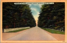 Postcard Columbia Avenue Rehoboth Beach Delaware