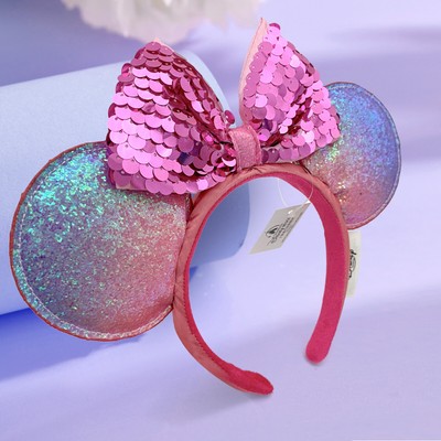 Disney-Park display picture 3