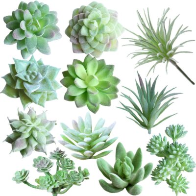 Mini Artificial Succulents Picks 11 Pcs Unpotted Flocked Green Echeveria |  eBay