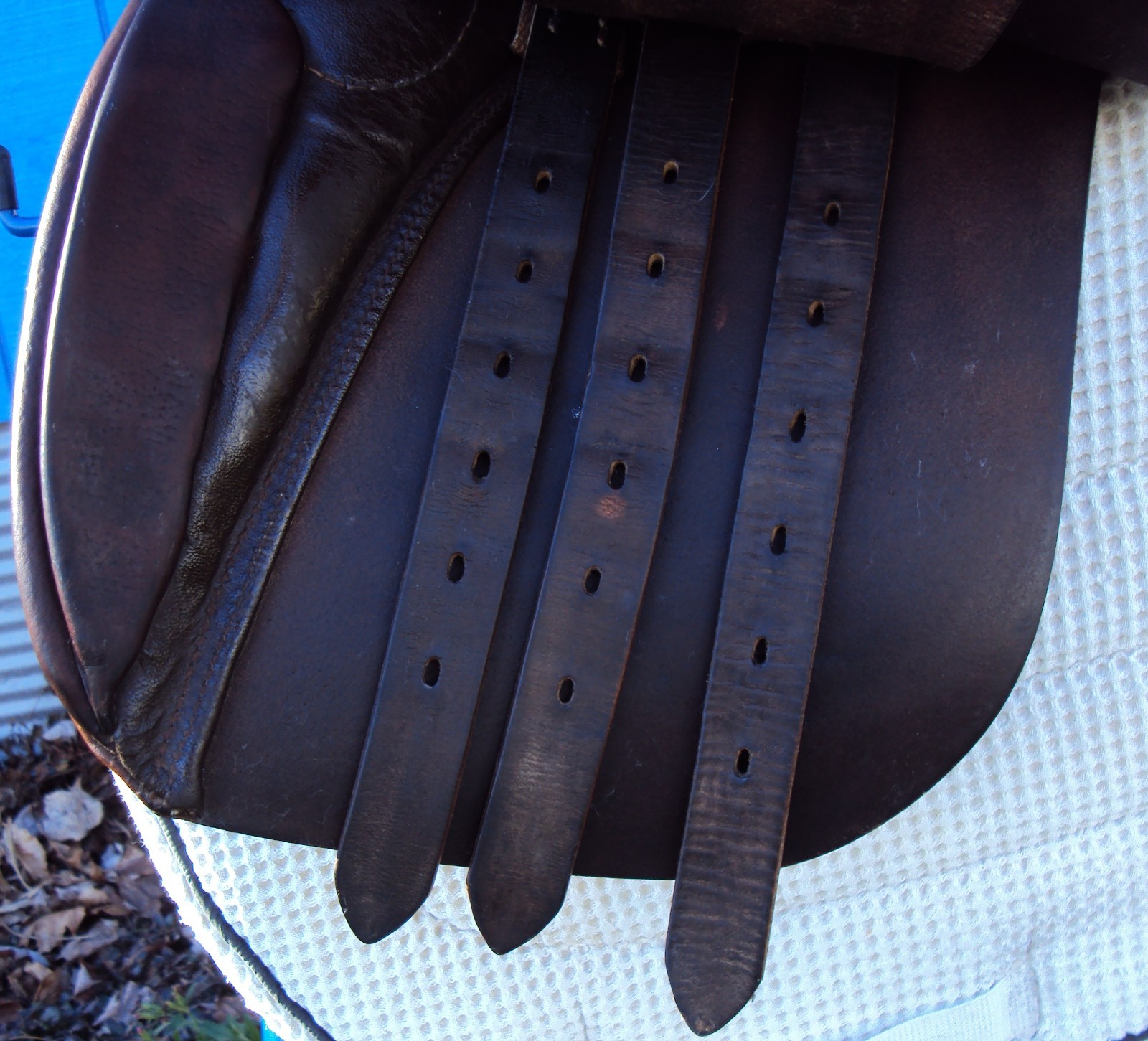 RARE STUBBEN Dressage/Trail Saddle - TRISTAN - Rare 16" Seat - GREAT! FREE Items