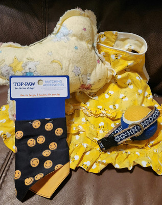 Animal Fundraiser Grab Bag Goody Bag~Plush Bone,S/M T-Shirt, Bandana, Collar~NWT