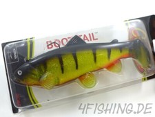 Castaic Swim Bait Trout in 10" (25 cm) - der TOPKÖDER auf Hecht (versch. Farben)