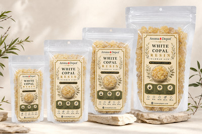 Natural Dammar Gum Resin Crystals Enacaustic Gammar Resin  White Copal