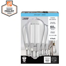 60-Watt Equivalent ST19 Dimmable White Filament Clear Glass E26 Vintage Edison L