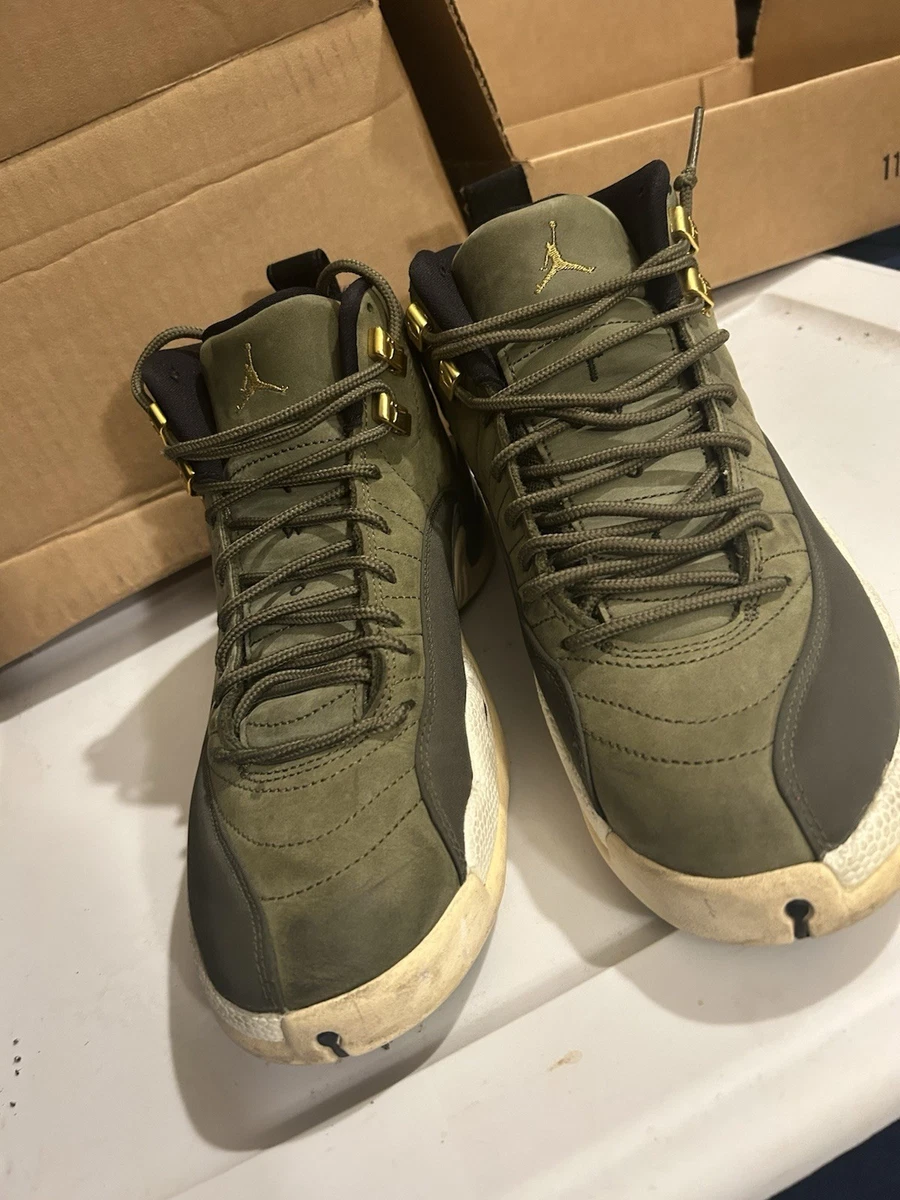 Las mejores ofertas en Jordan 12 | eBay