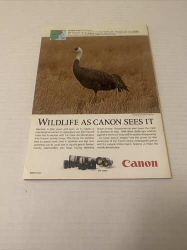 November And December 2018 National Geographic Magazine No Maps Books Only - Picture 8 of 10