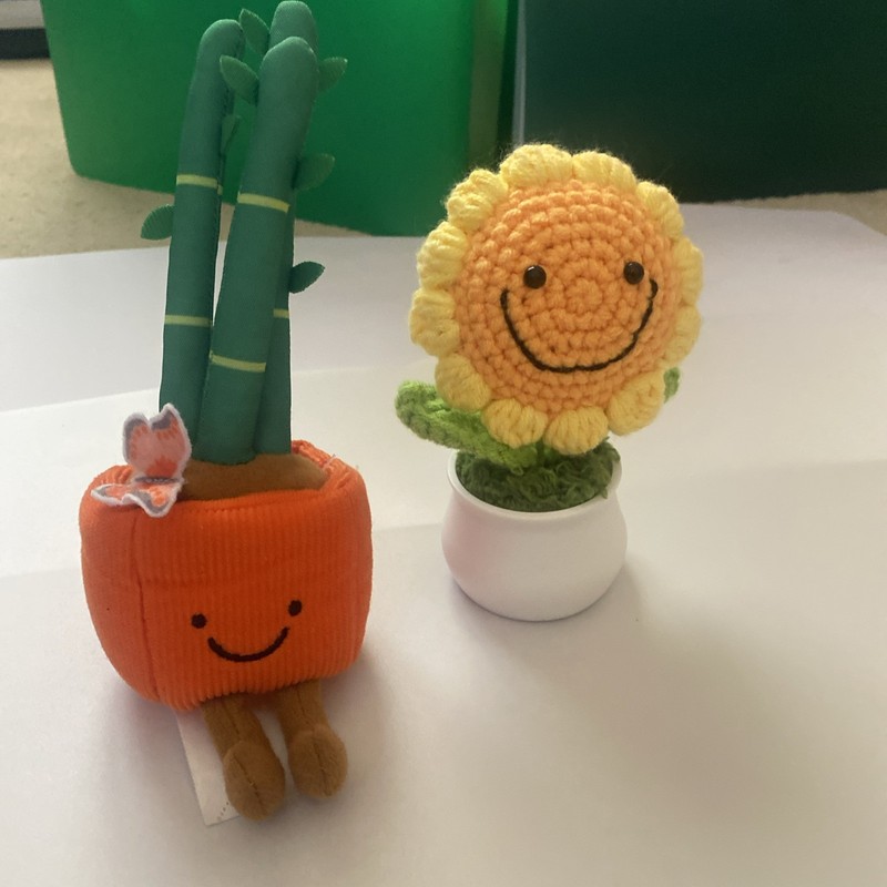Girl Scouts Brownie Bakers Cactus Plant Plush & Crochet Smile Sunflower Lot