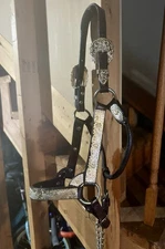 Leather Horse Show Halter with Silver and Gold Accents W/chain Lead