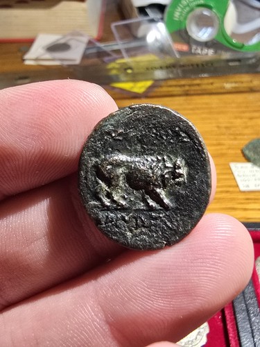 Kings Of Galatia: Amnytas Æ Unit - Lion