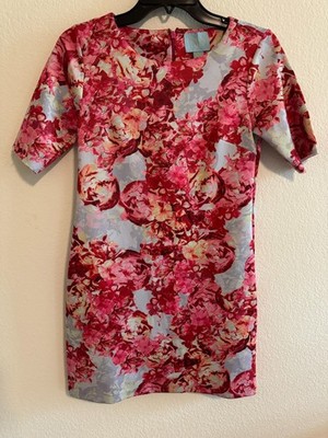 CeCe by Cynthia Steffe Women s Pink Multi-Shade Floral Shift Dress   Size PS (Pe