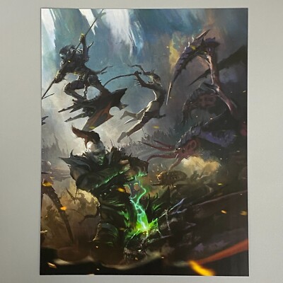 Warhammer 40,000 Art Poster Dunkle Eldar Drukhari Hellions Wyches Succubus
