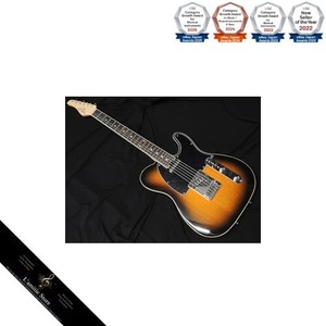 Schecter Telecaster | eBay