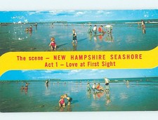 Pre-1980 PAIR OF BEACH SCENES ON POSTCARD State Of New Hampshire NH G6110