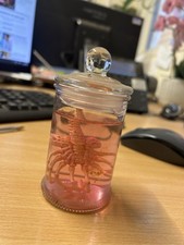Aliens Facehugger In Jar Geiger Alien 