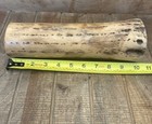 Rain Stick Cactus Wood 10” Natural Musical Instrument Rainmaker — photo 2