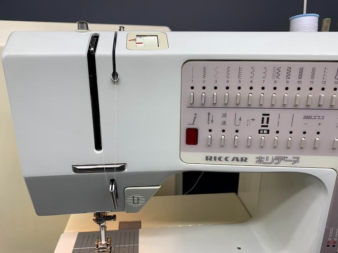 BERNINA ベルニナ RICCAR Holidaynu 1240 BERNINA 1090 スイス