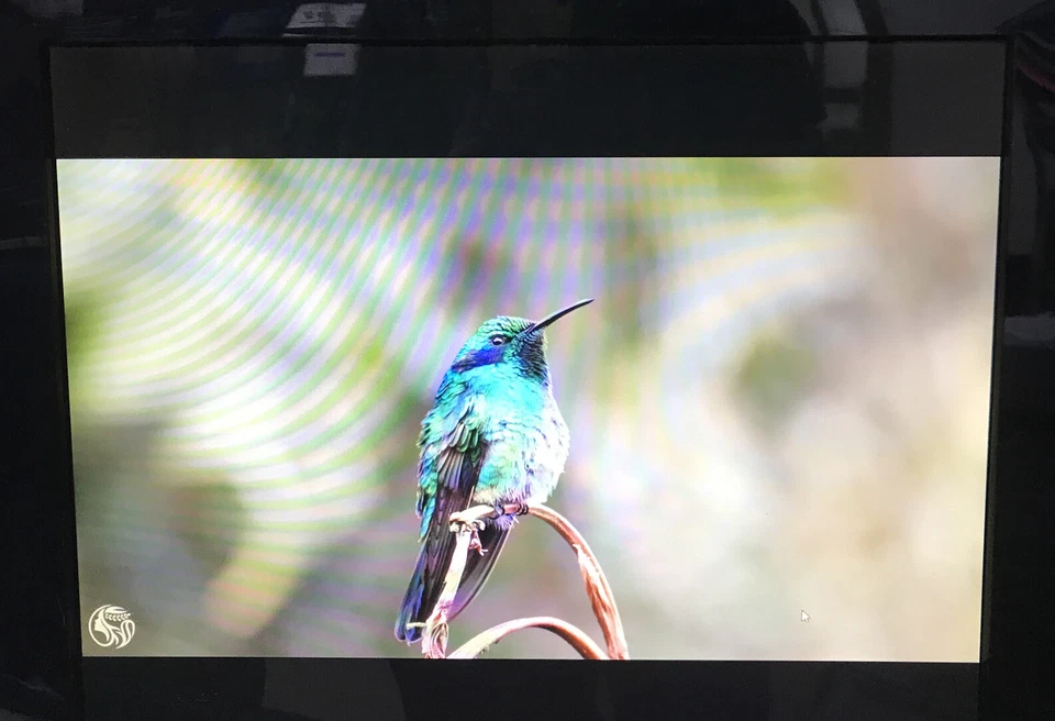 Sony 19" Adjustable TFT LCD Color Computer Display Monitor SDM-HS94P tested - Image 2 of 4