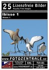 Bild 14 von 22