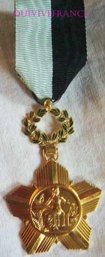 DEC8032 - MEDAILLE d'honneur du Mérite des EXPERTS