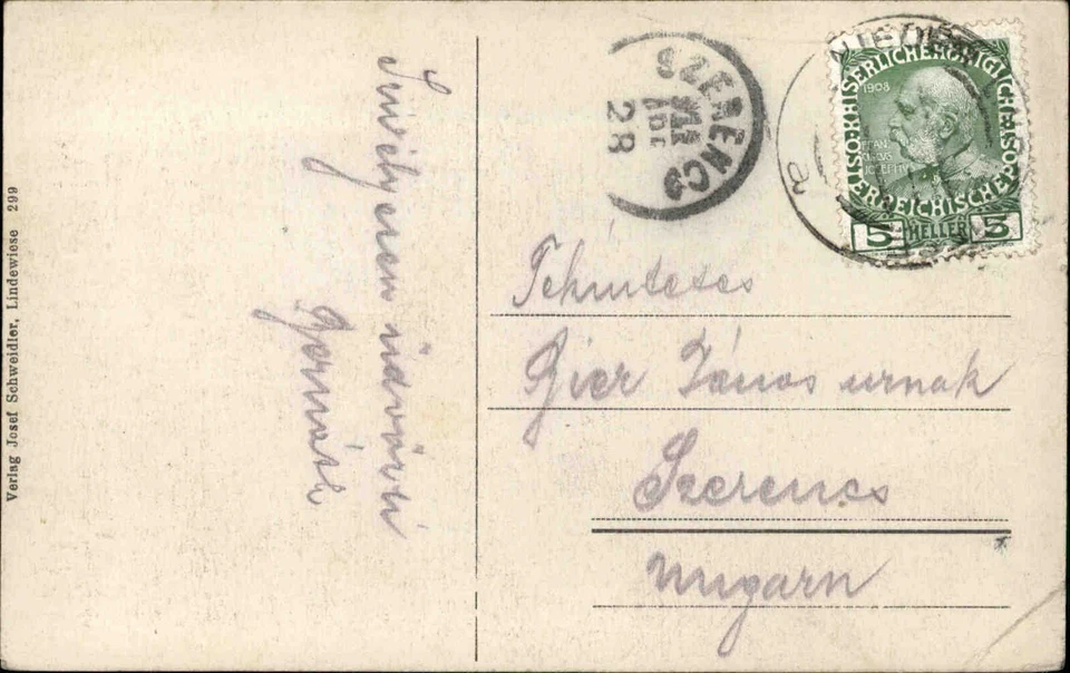 Lindewiese Lipová-lázně Tschechien Česká ~1910 Panorama Totale Dorf Häuser Wald - Bild 2 von 2