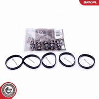 Reparatursatz Saugrohrmodul Esen SKV 49SKV524 FüR Mercedes Klasse Model S210 CLK