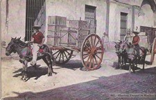Mexico City, MEXICO - Handling Freight - Horse & Cart