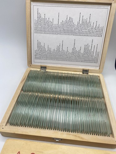 AmScope Microscope biology Glass Slides 2 Boxes