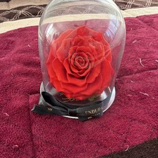 Endura Roses Red Rose in Glass Dome Floral D cor Glass Arrangement Centerpiece