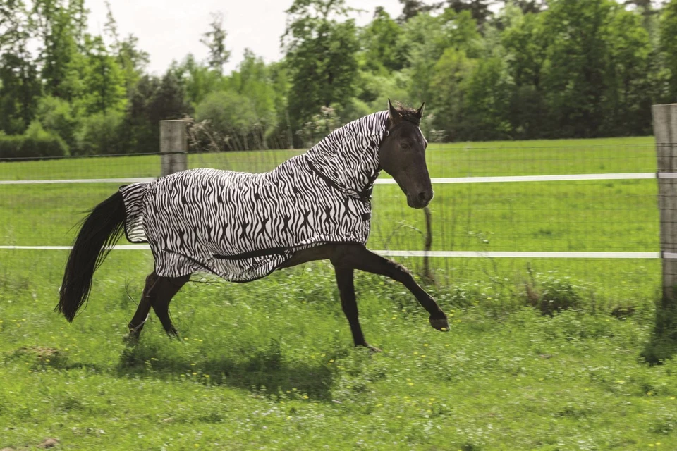 Ekkia Riding World Fliegendecke Mesh Combo mit Halsteil - Bild 3 von 3