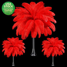 Large Natural Ostrich Feathers Red 90 Pcs 14-16 12-14 10-12 Inch Centerpieces