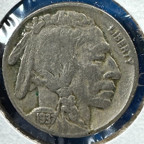 1937 Buffalo Nickel (72831)