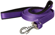 Nylon Padded Double Handle Dog Leash Warranted Replaceable Snap 1" X 4'