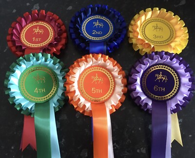 Circolo Ippico Castellano: Tornano I Centri Estivi | Castelfranco