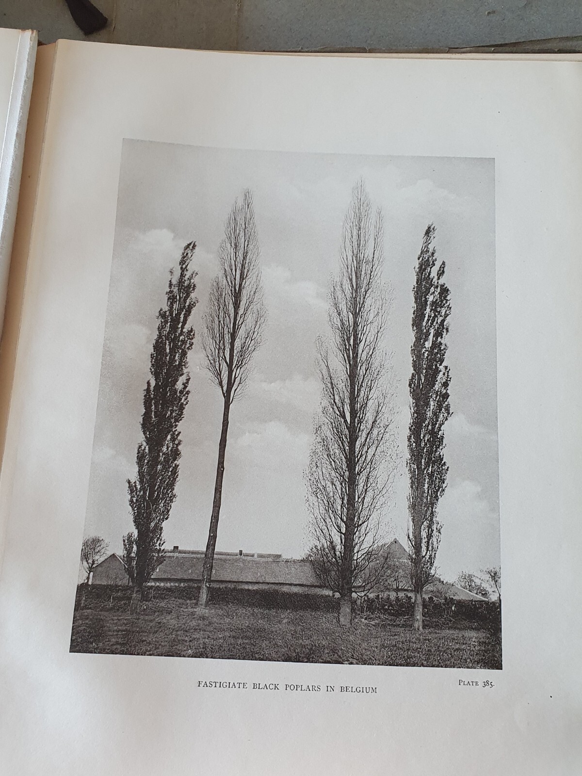 Picture 15 of 21