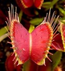 Foto 4 di 7
