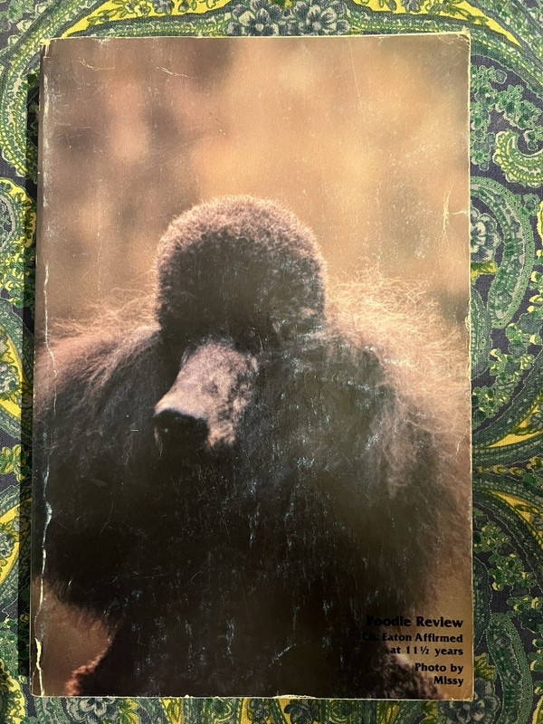 POODLE REVIEW Magazine #34 Stud Issue 1990