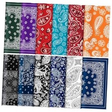 24 Pcs Microfiber Cleaning Cloth Paisley Elegant Flowers Design Glasses