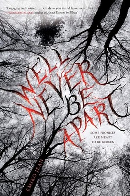 We'll Never Be Apart: A Gripping Debut YA Thriller of Secrets, Fire, and a S...